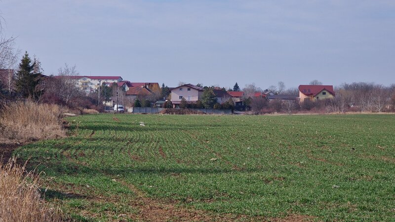 Balotesti, Saftica, teren deosebit, deschidere la 2 drumuri